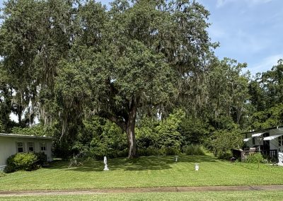 Last Vacant Lot