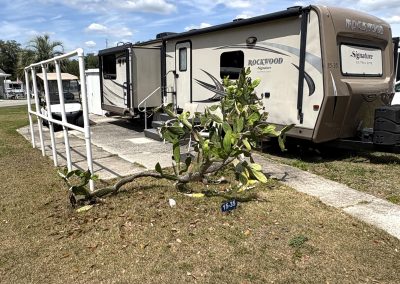 Rockwood Fifth Wheel Lot 15-35